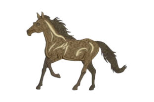Horse Profile Embroidery Design Review for Etsy Sellers
